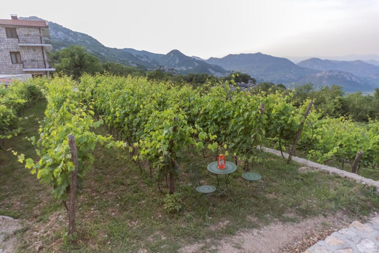 Apartments And Winery Djukovic Virpazar Extérieur photo